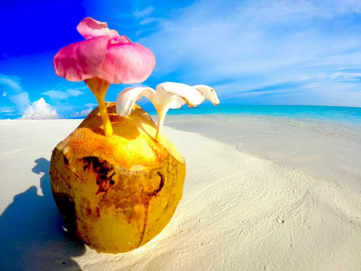 Wind Breeze Sunset View Inn Guraidhoo  Exterior photo