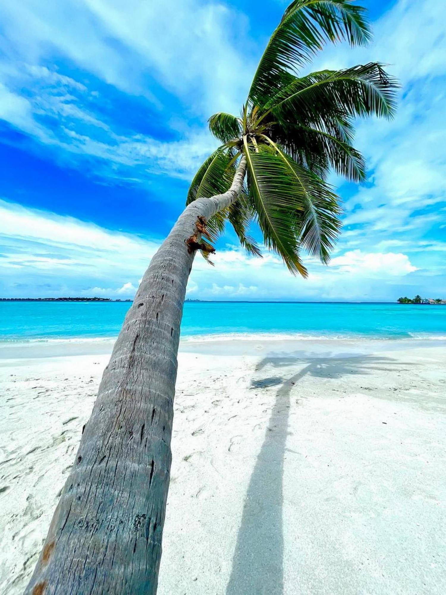 Wind Breeze Sunset View Inn Guraidhoo  Exterior photo